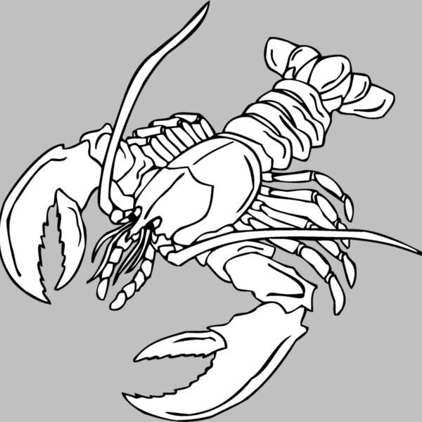 lobster2 Thumbnail