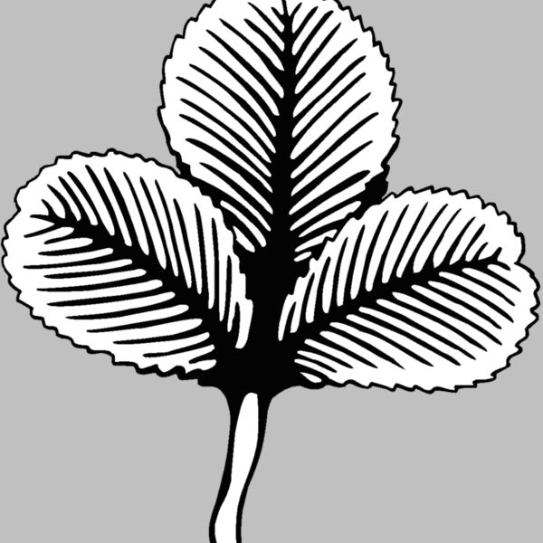 3leafclover Thumbnail