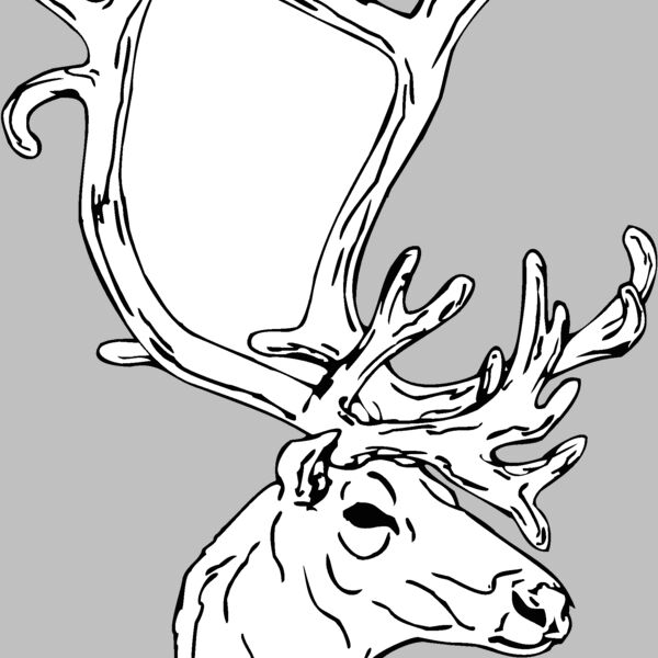 caribou2 Thumbnail