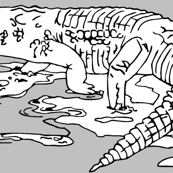 nilecrocodile Thumbnail