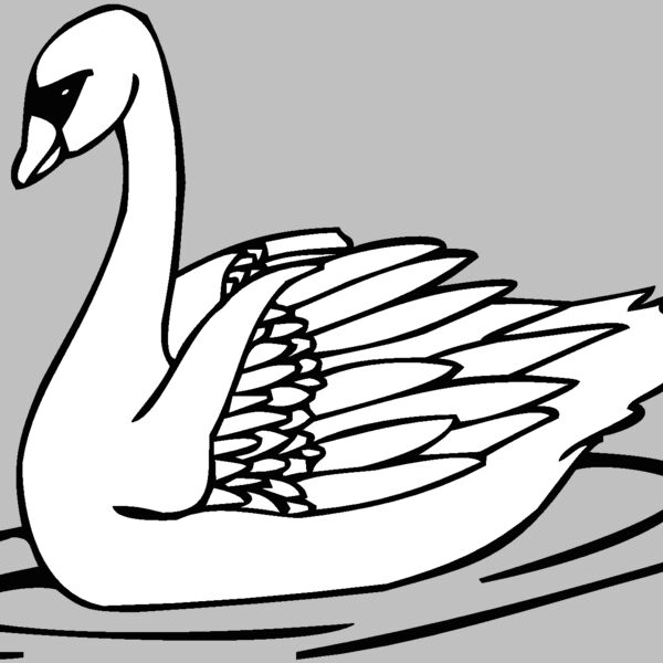 swan Thumbnail