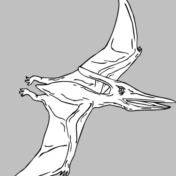 pteranod Thumbnail