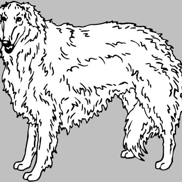 borzoi Thumbnail