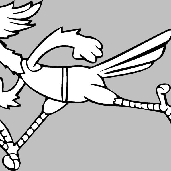 roadrunner1 Thumbnail