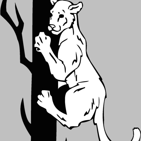 climbincougar Thumbnail