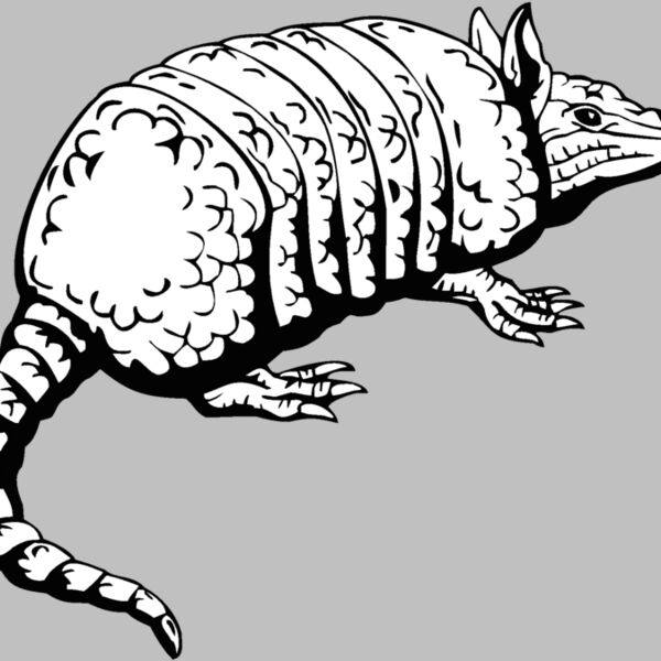 armadillo1 Thumbnail