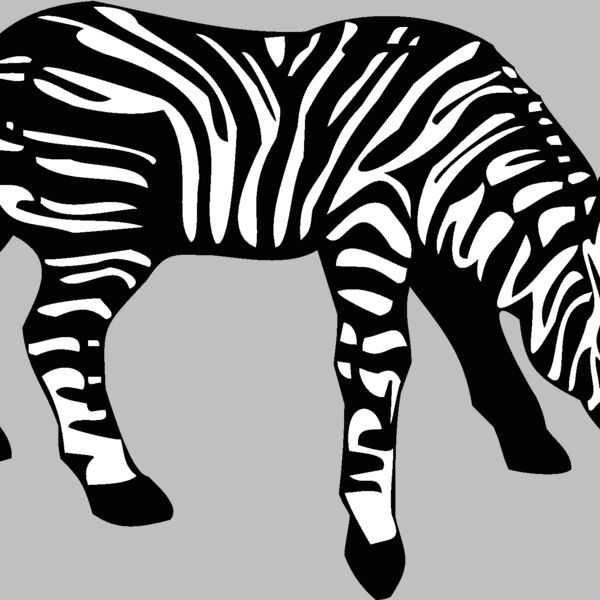 zebra3 Thumbnail