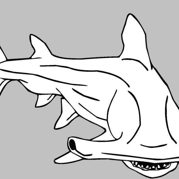 hammerhead Thumbnail
