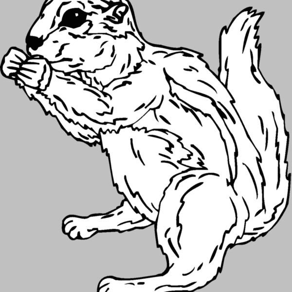 groundsquirrel Thumbnail