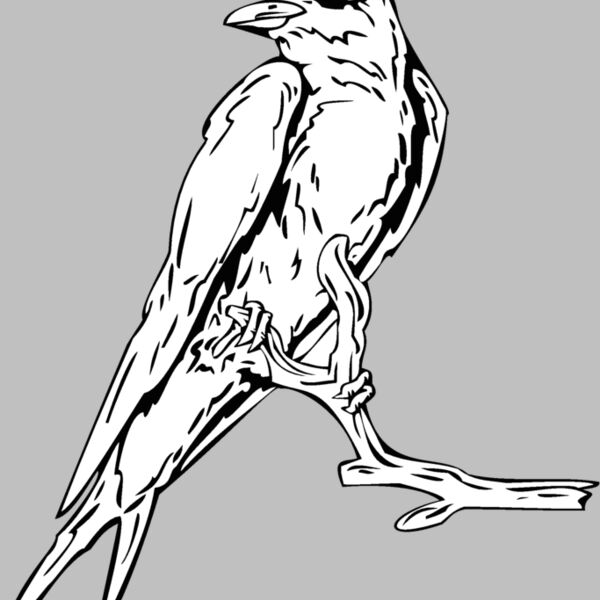 bird12 Thumbnail