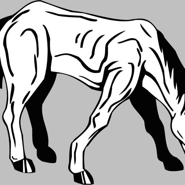 horse4 Thumbnail