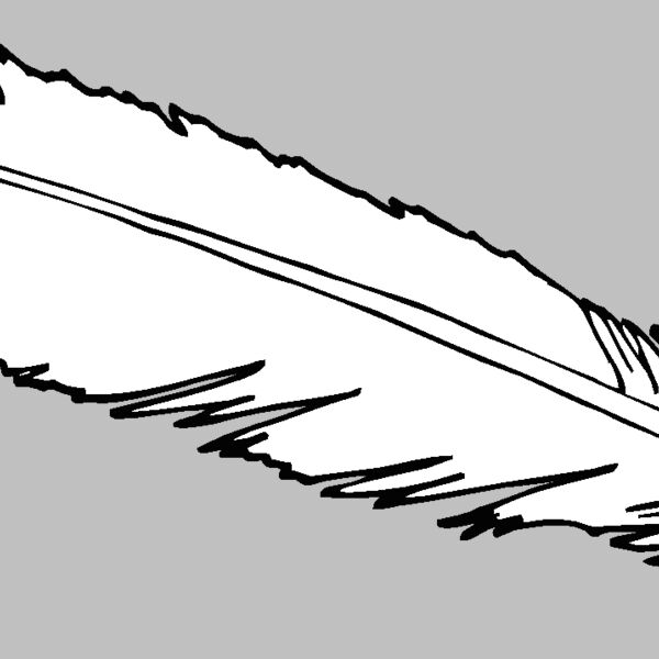 feathers12 Thumbnail