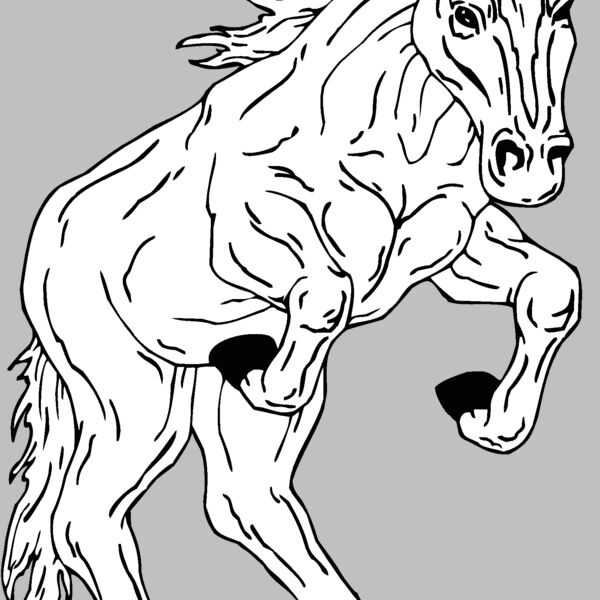 horse9 Thumbnail