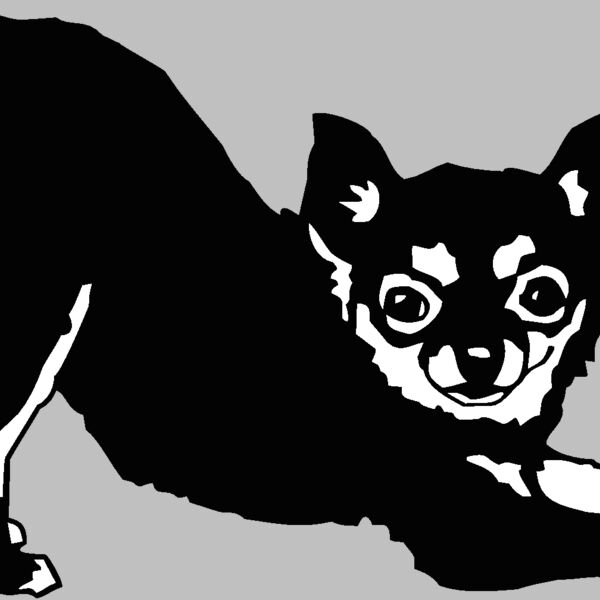 chihuahua3 Thumbnail