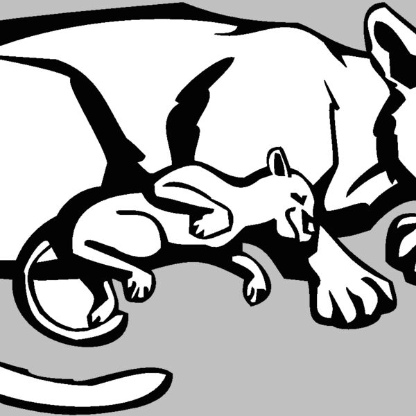 sleepingcougar Thumbnail