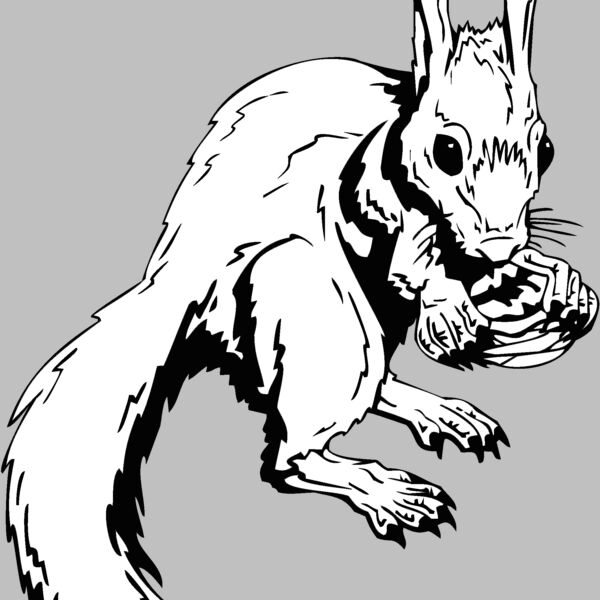 rabbit squirrel Thumbnail