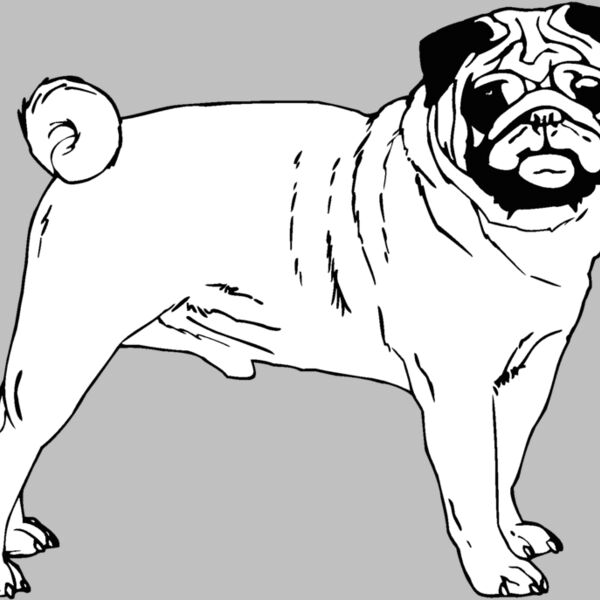 pug2 Thumbnail