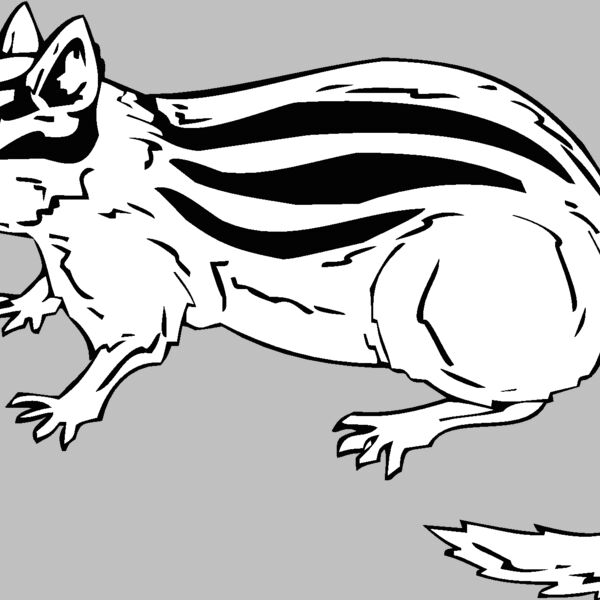 chipmunk Thumbnail