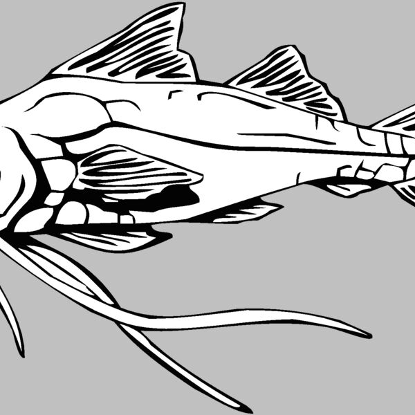 fish5 Thumbnail