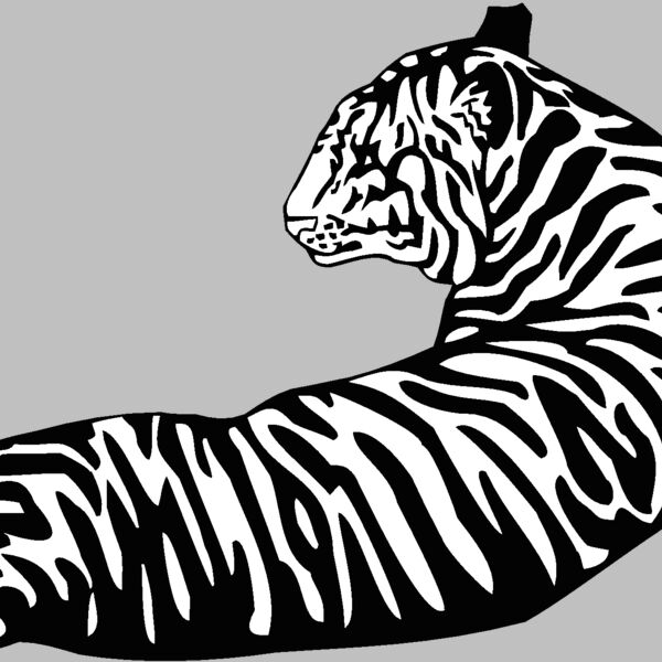 tiger07 Thumbnail