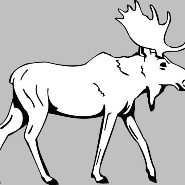 moose4 Thumbnail