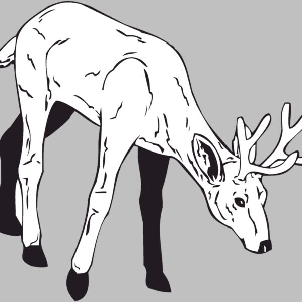 deer2 Thumbnail