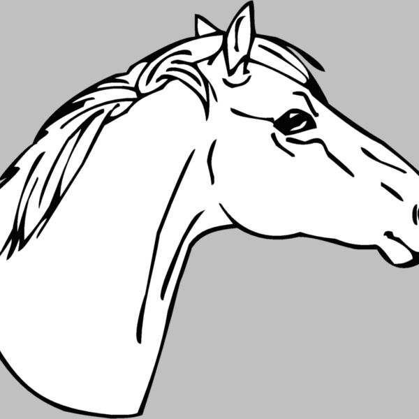 horsehead05 Thumbnail