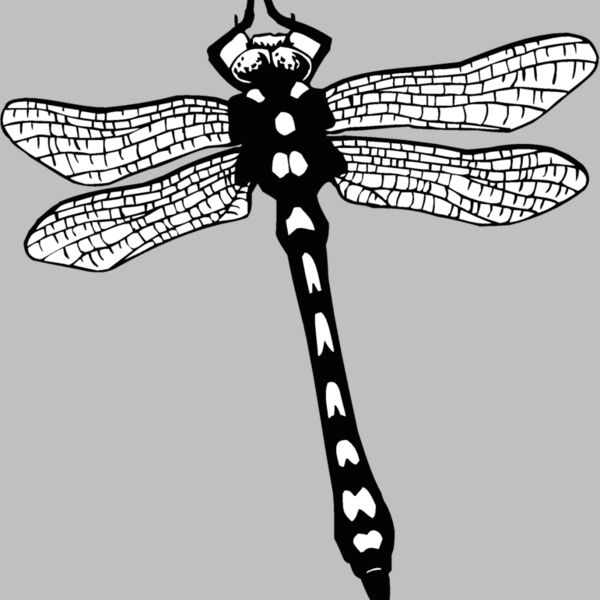 dragonfly Thumbnail