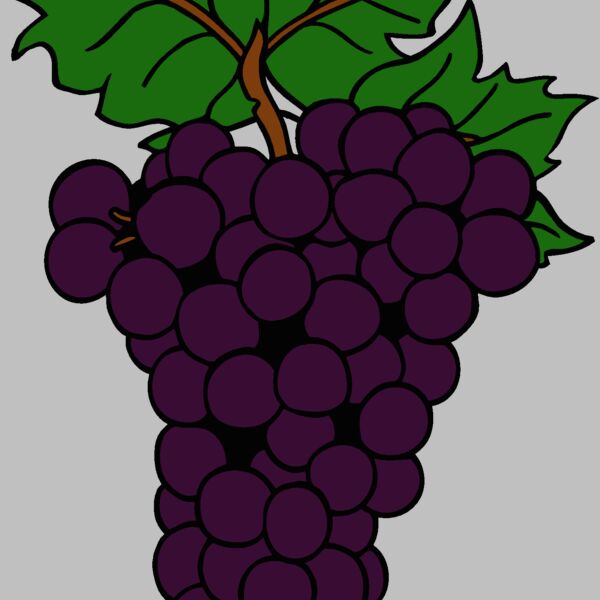grapes1 Thumbnail