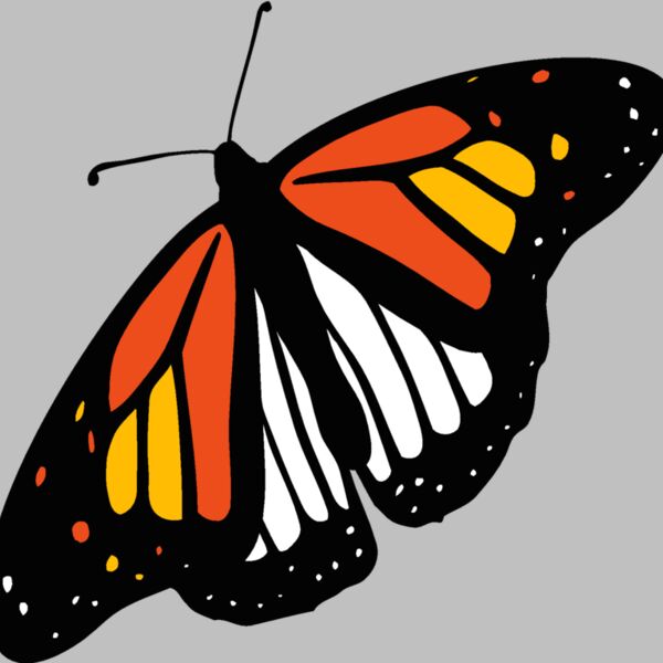 butterfly2 Thumbnail