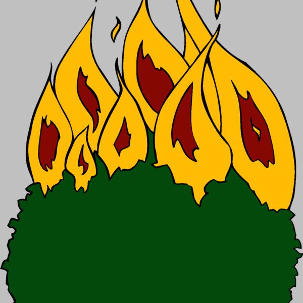burningbush01 Thumbnail