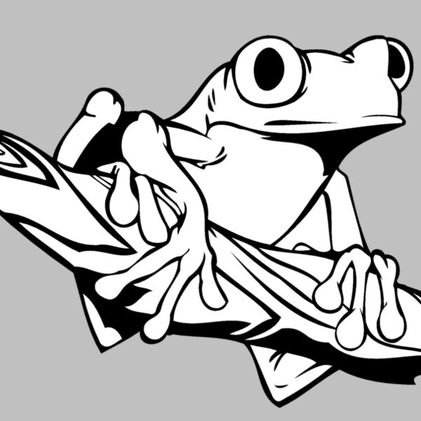 frog12 Thumbnail