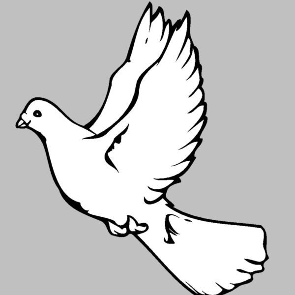 dove Thumbnail