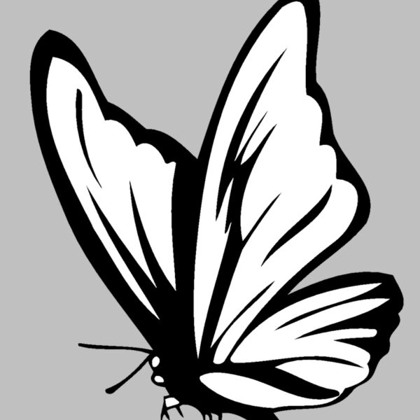 butterfly01 Thumbnail