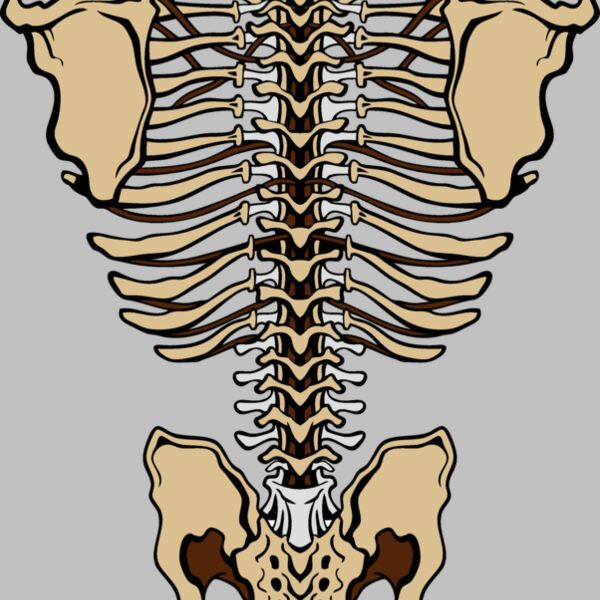 es3bones01clr Thumbnail