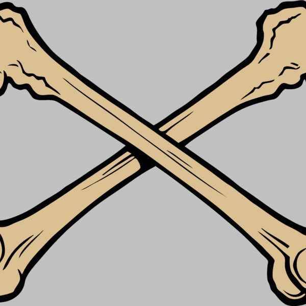 esbones002clr Thumbnail