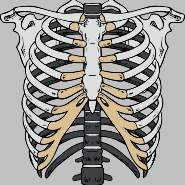 es2bones003clr Thumbnail