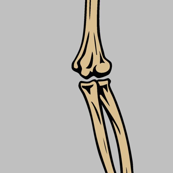 esbones003clr Thumbnail