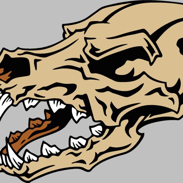 es2skull019clr Thumbnail