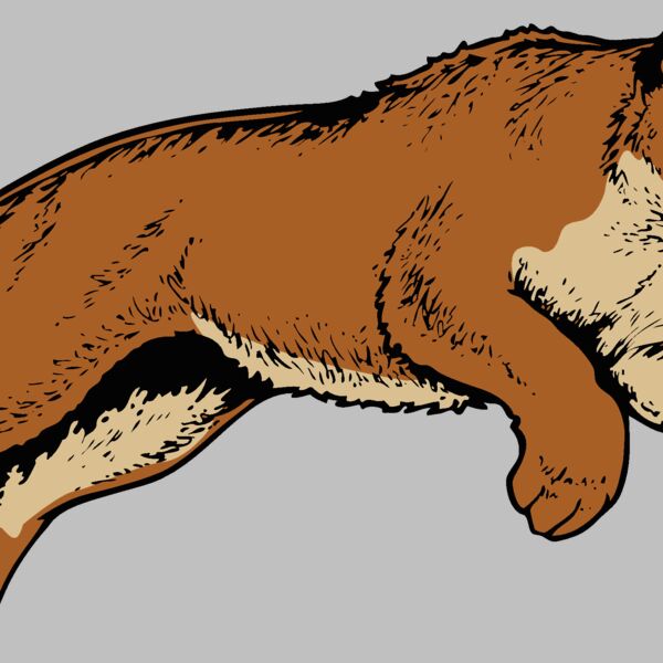 cougar11v4clr  2  Thumbnail