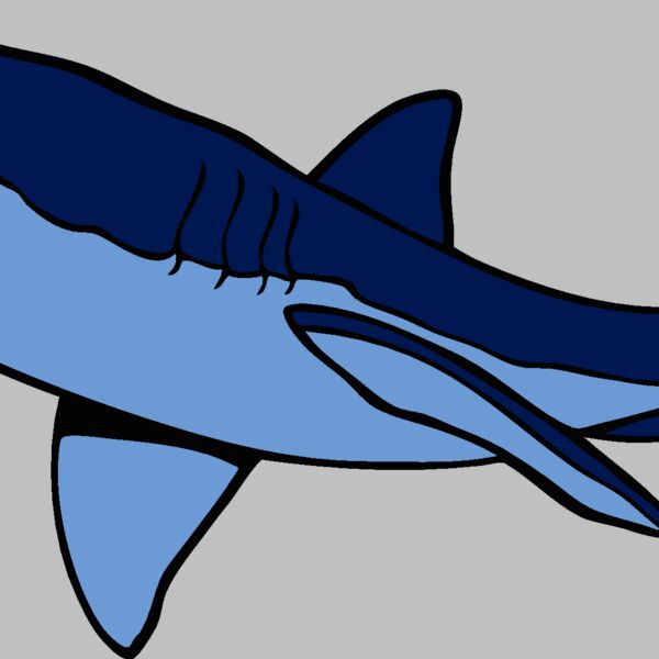 shark17 Thumbnail