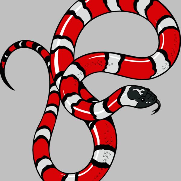 snake12v4clr Thumbnail