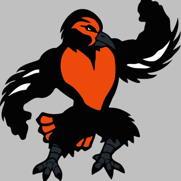 oriolemsct04 Thumbnail