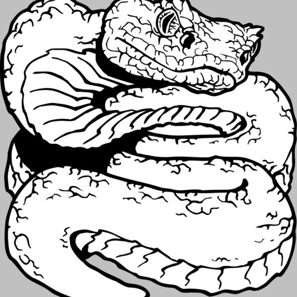 cooperheadsnake Thumbnail