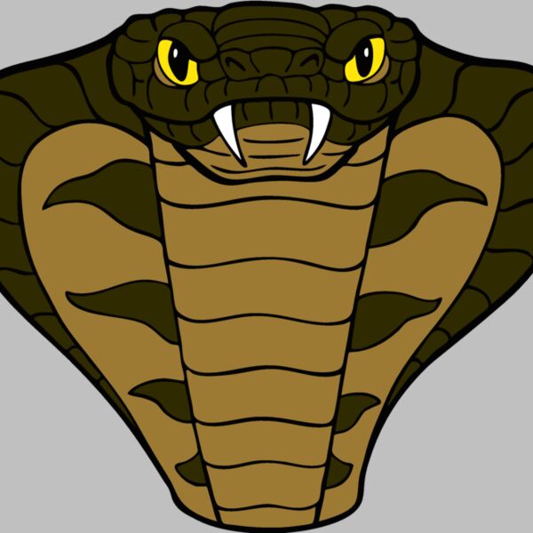 cobramscthd03 Thumbnail