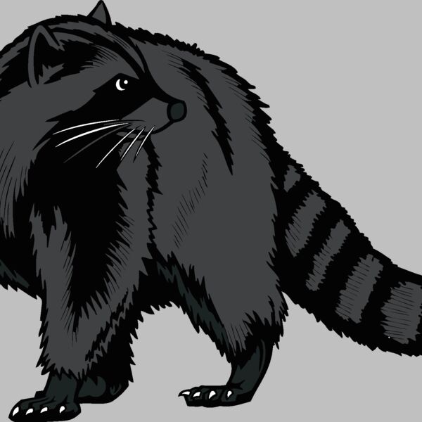 raccoon02v4clr Thumbnail