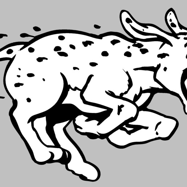 dalmation Thumbnail