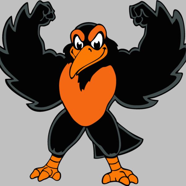 oriolemsct01 Thumbnail