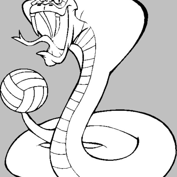 cobravlybns Thumbnail