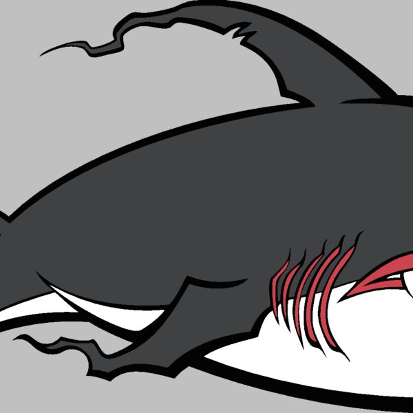 shark04v4clr Thumbnail